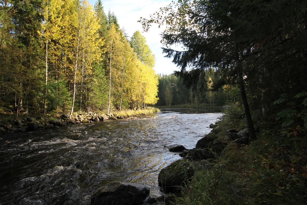 Keskikosken Lomamoekit Venajanjarvi Bagian luar foto